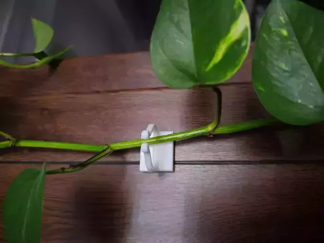 Plant Clip