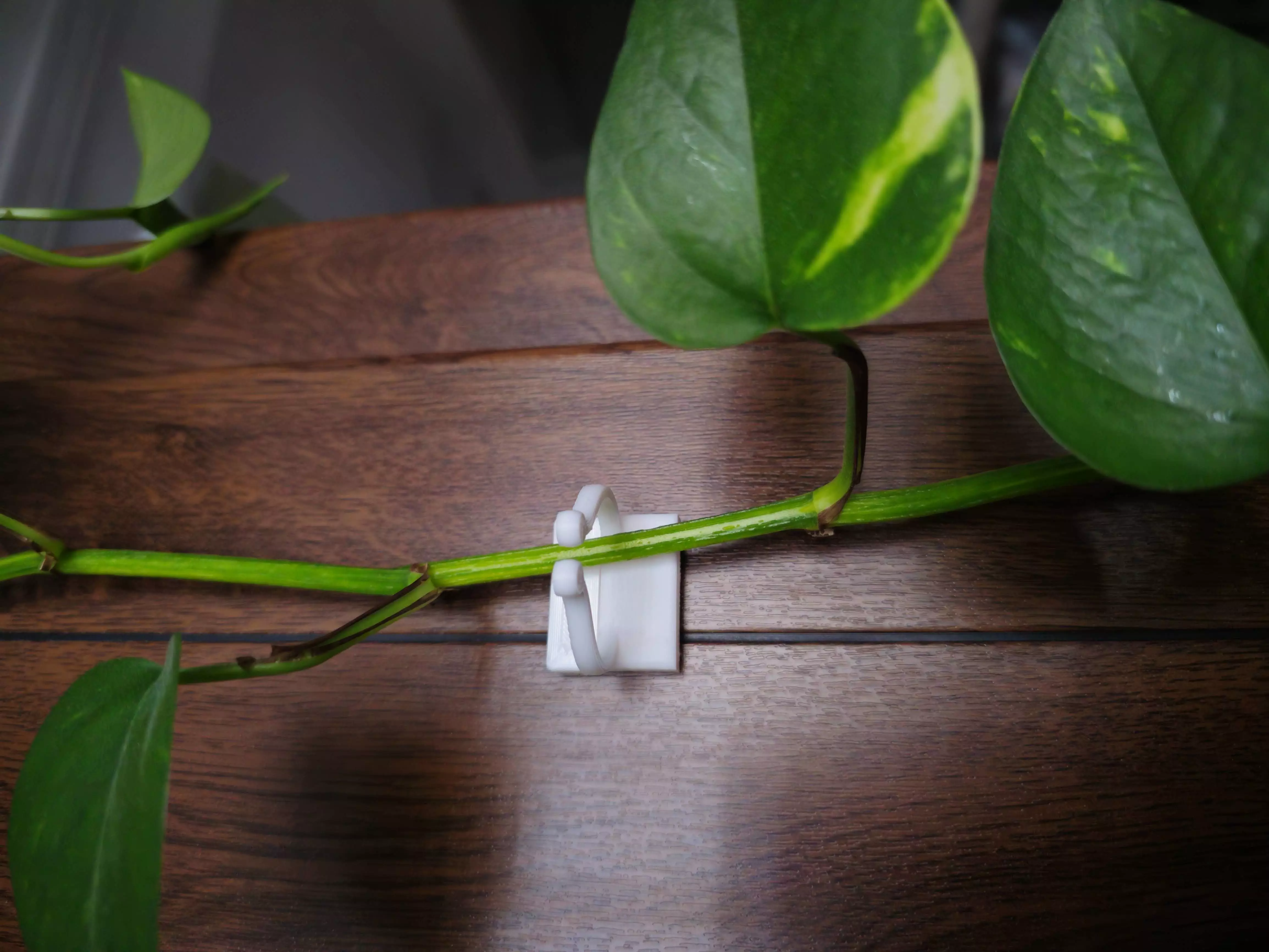 Plant Clip 3D print model_0