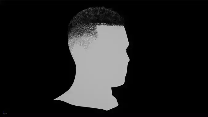 Male Real-Time Hair Afro