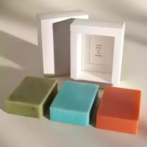 Soap and Package 3D model