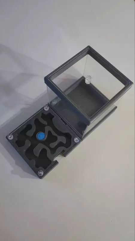 Anthill with hunting area Hormiguero con zona de caza 3D print model