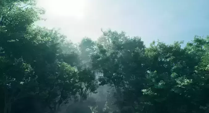 The natural charm of the heron in the green environment Low-poly 3D model