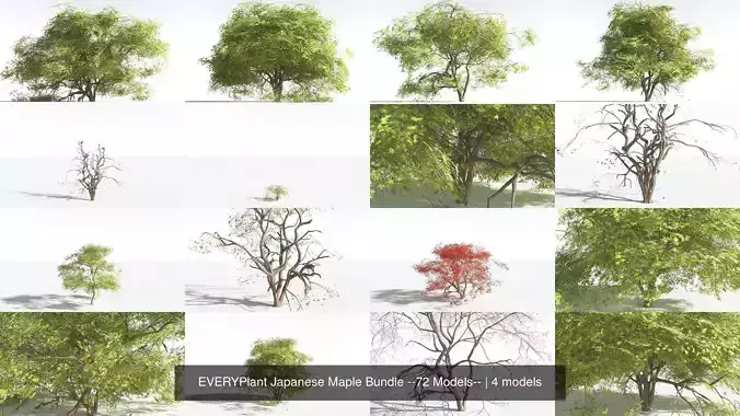 EVERYPlant Japanese Maple Bundle --72 Models-- 3D Model Collection