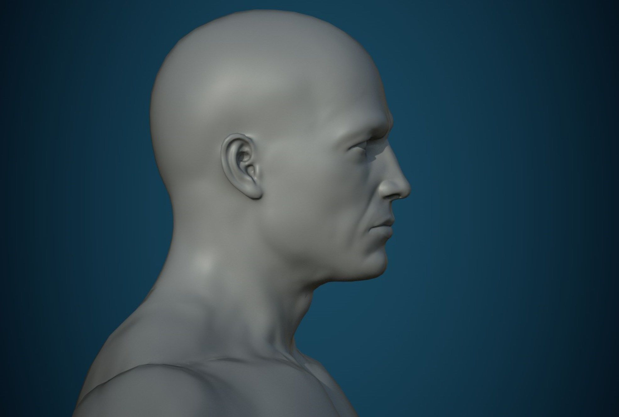 Base mesh male body   3D Model Collection_4