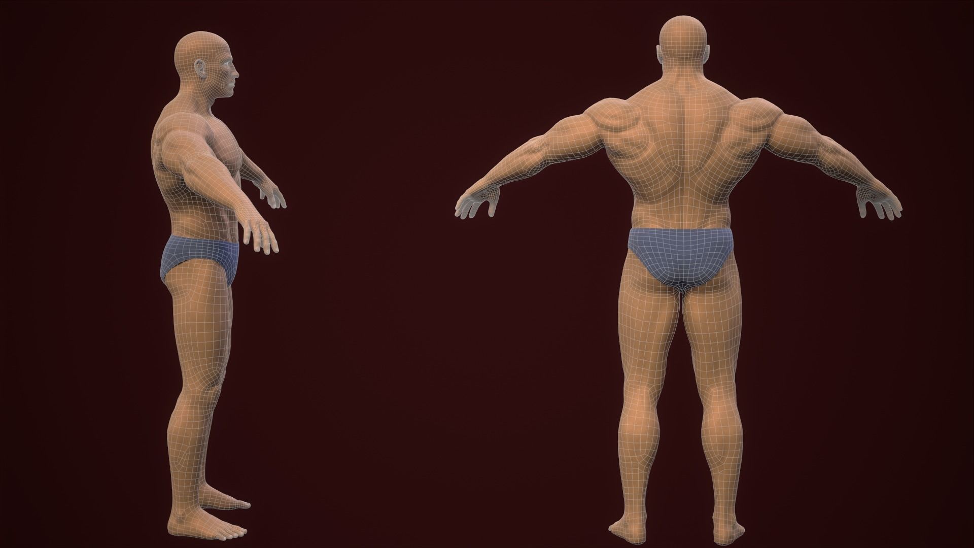 Base mesh male body 3D Model Collection_24