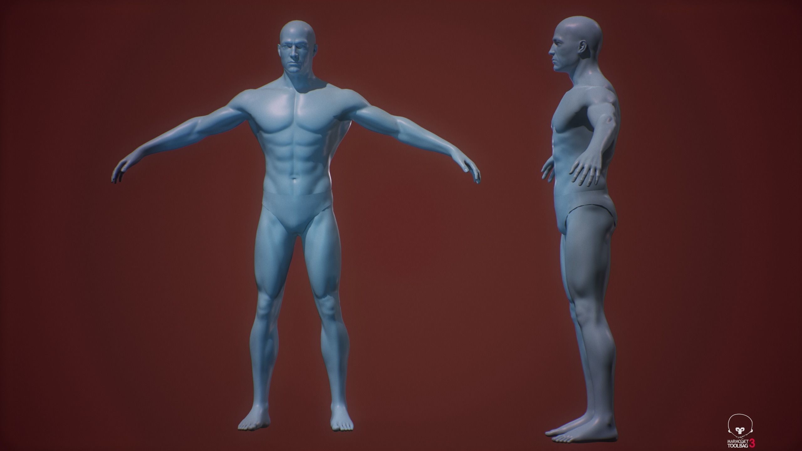 Base mesh male body   3D Model Collection_8