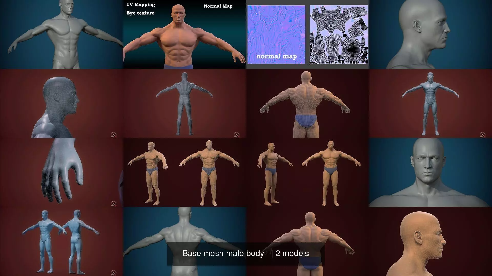 Base mesh male body 3D Model Collection_1