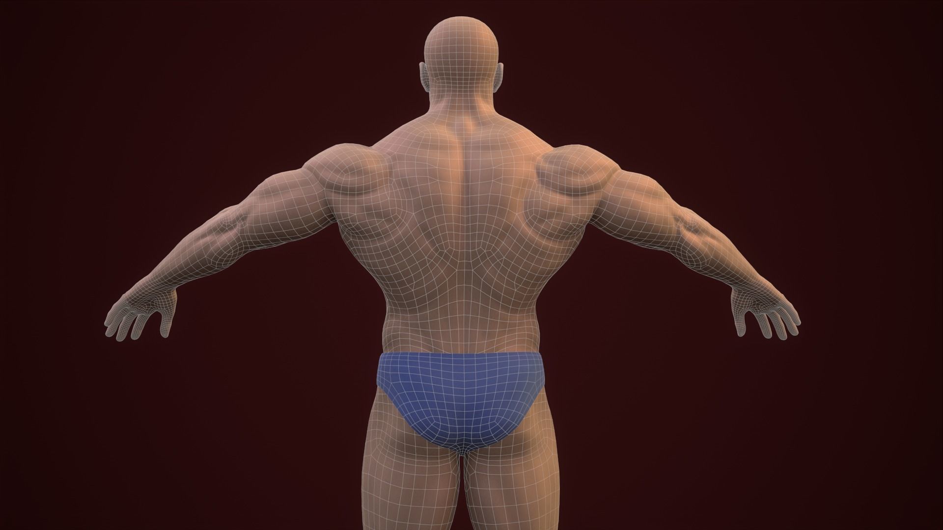 Base mesh male body 3D Model Collection_23