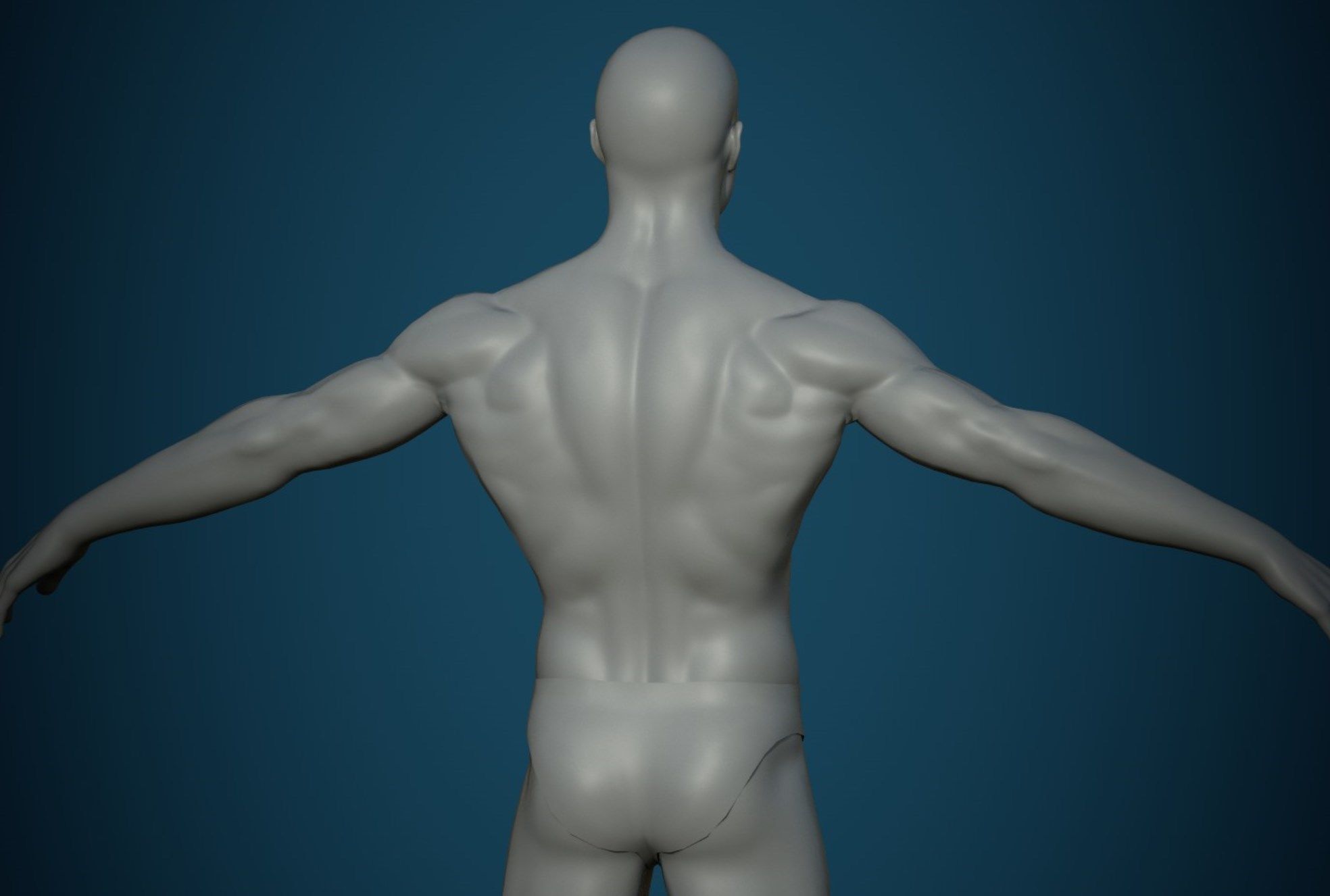 Base mesh male body   3D Model Collection_6