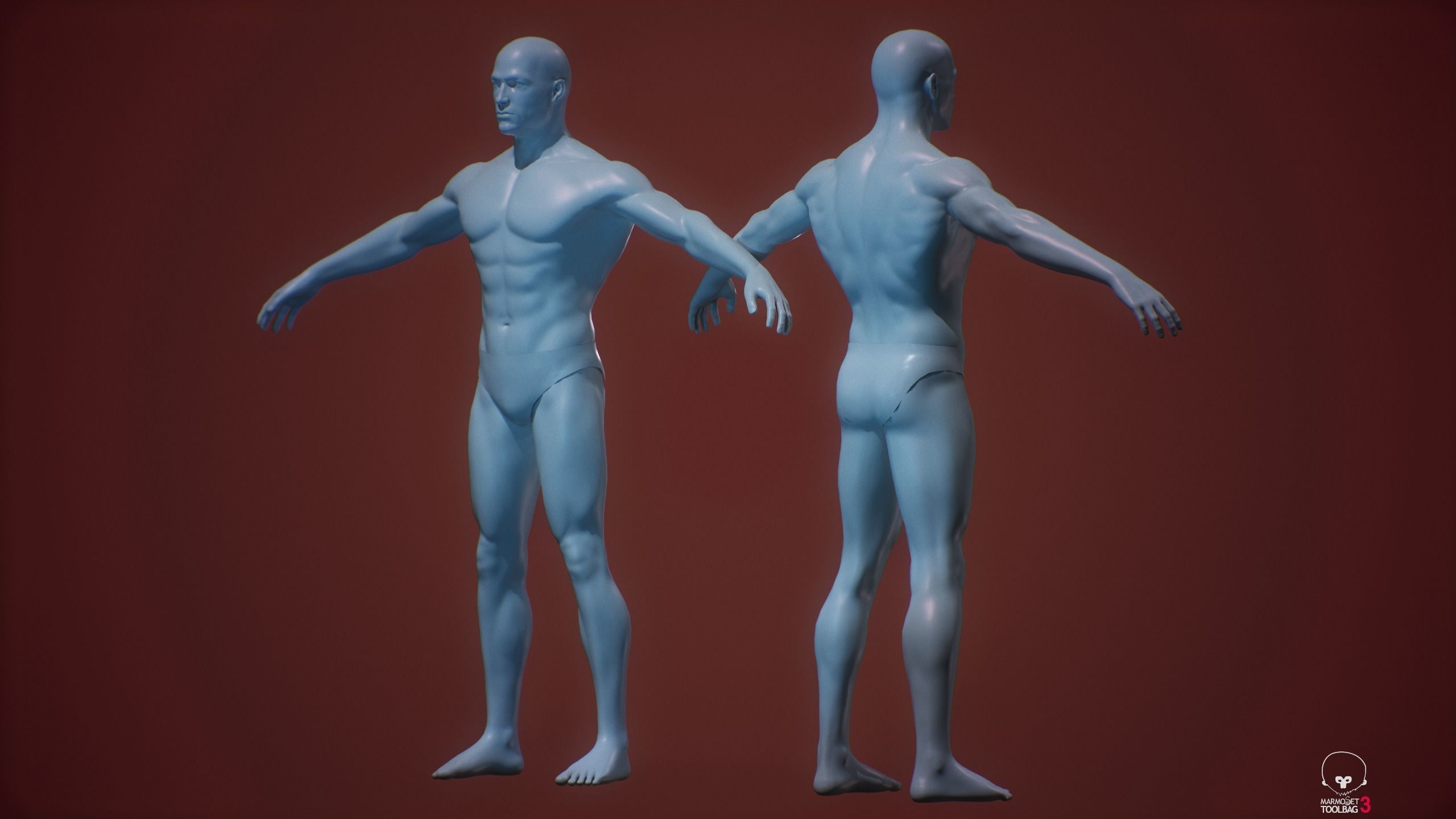 Base mesh male body 3D Model Collection_9