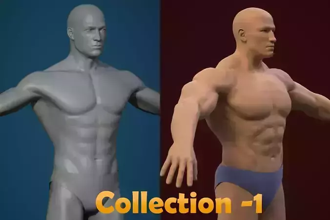 Base mesh male body   3D Model Collection