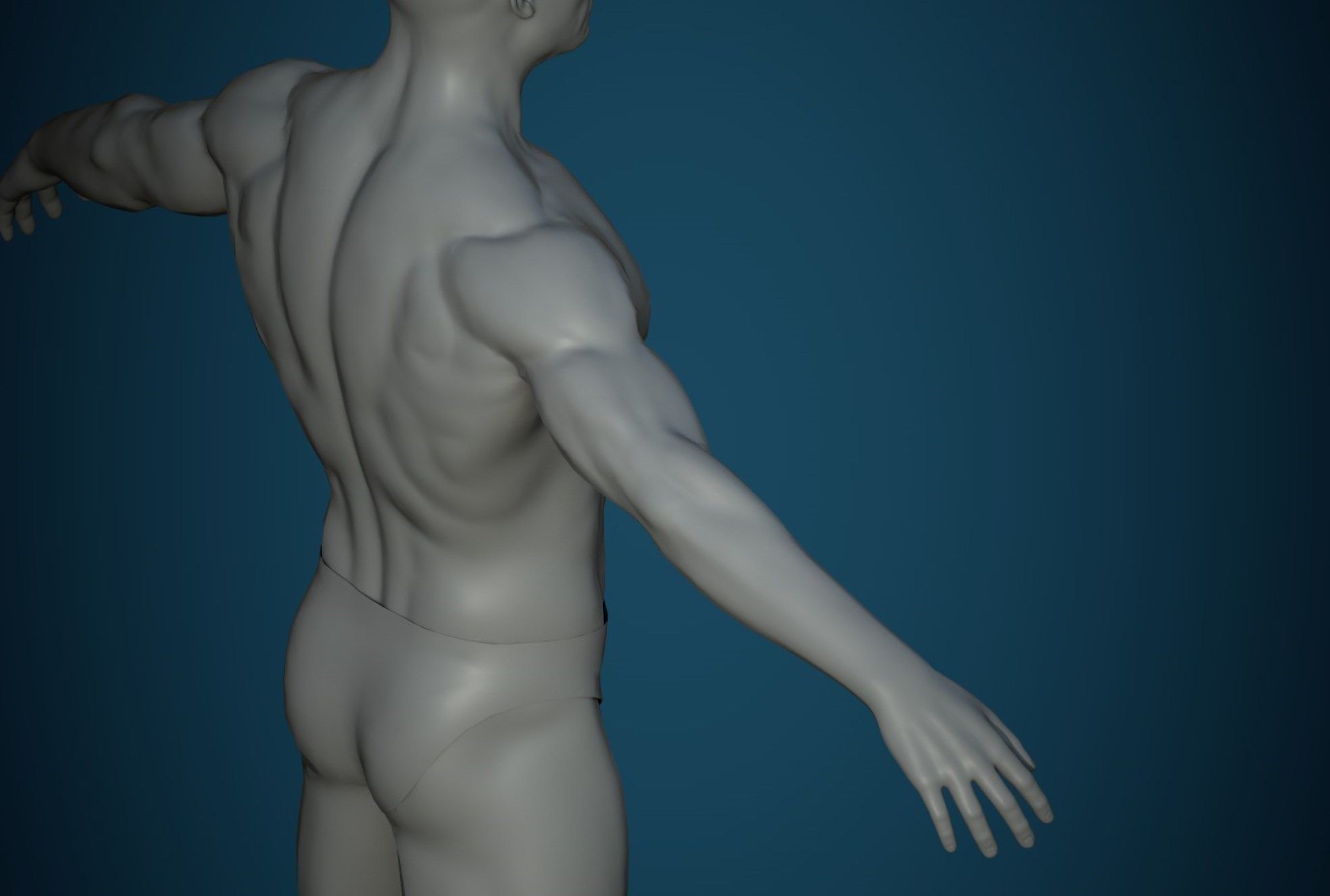 Base mesh male body   3D Model Collection_7