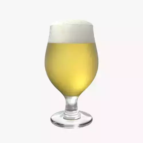 Beer Glass