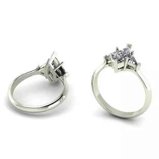 Ring N01850 3D print model_0