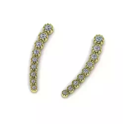 Earrings N012127