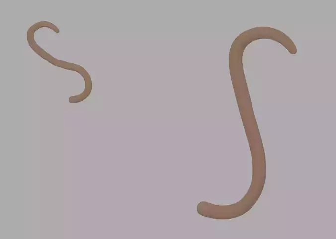 Monkey Tail 3D model