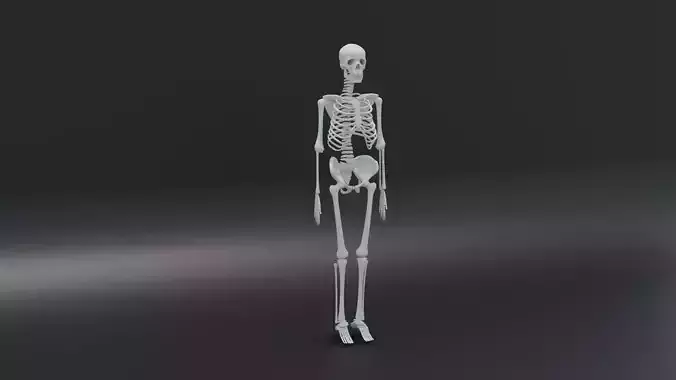 Skelton High model 3D model