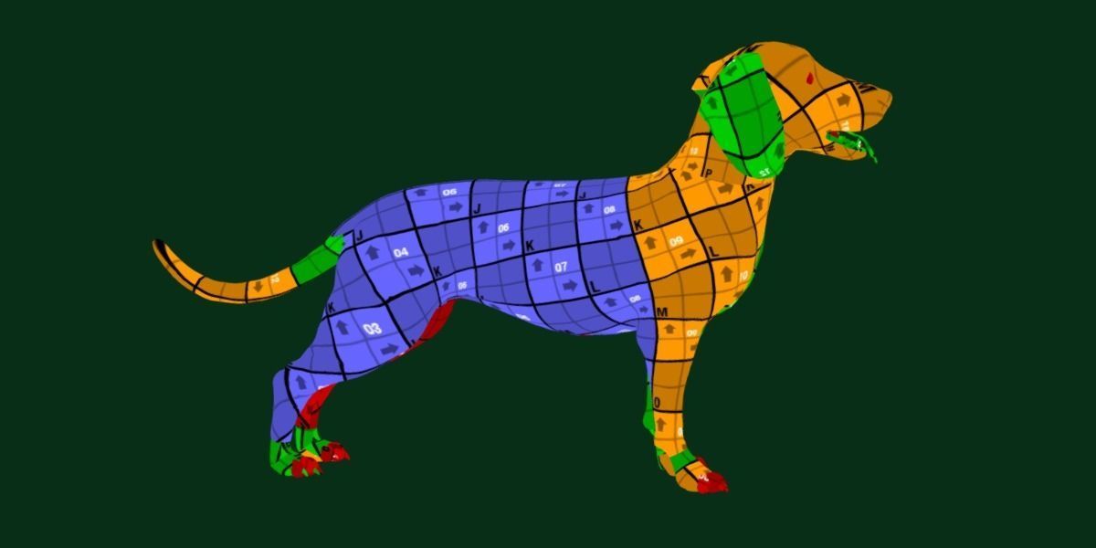 Bavarian Mountain Hound Dog Breed 3D model_7