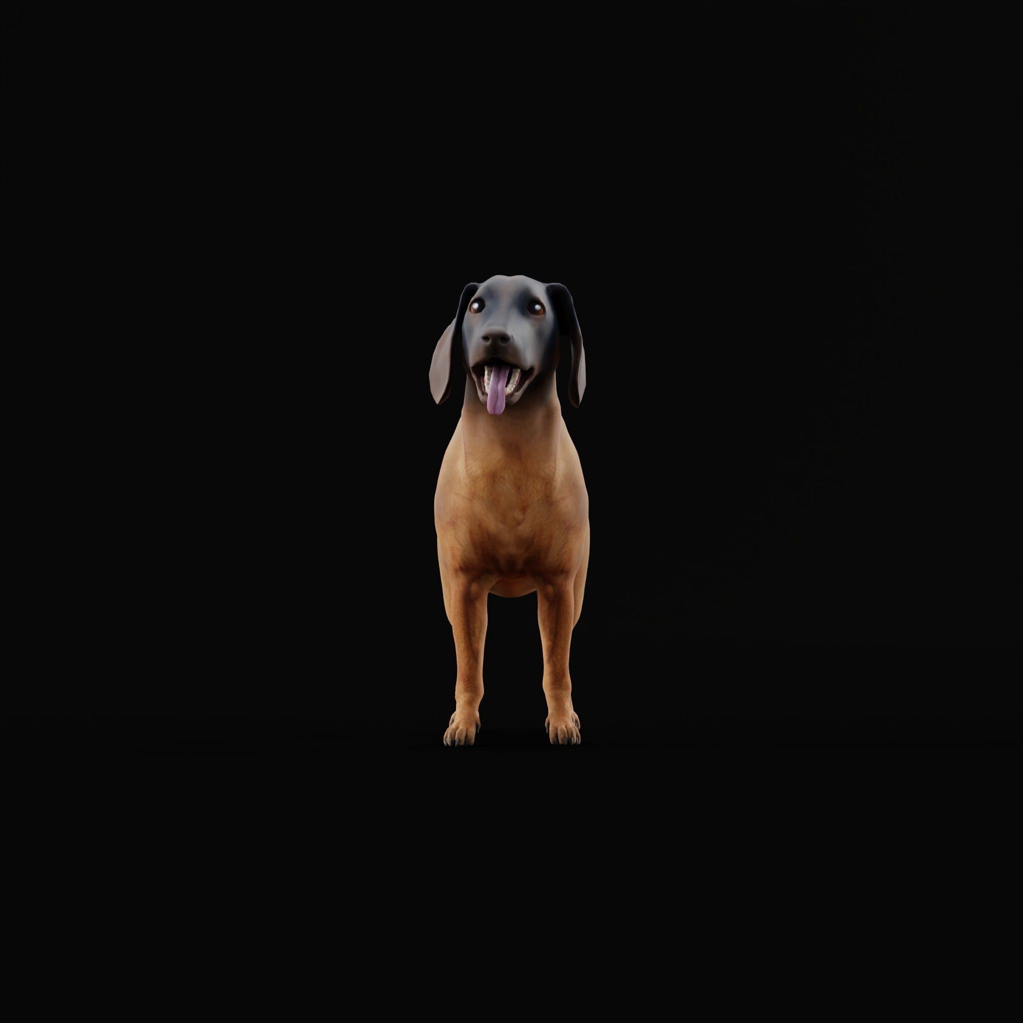 Bavarian Mountain Hound Dog Breed 3D model_19