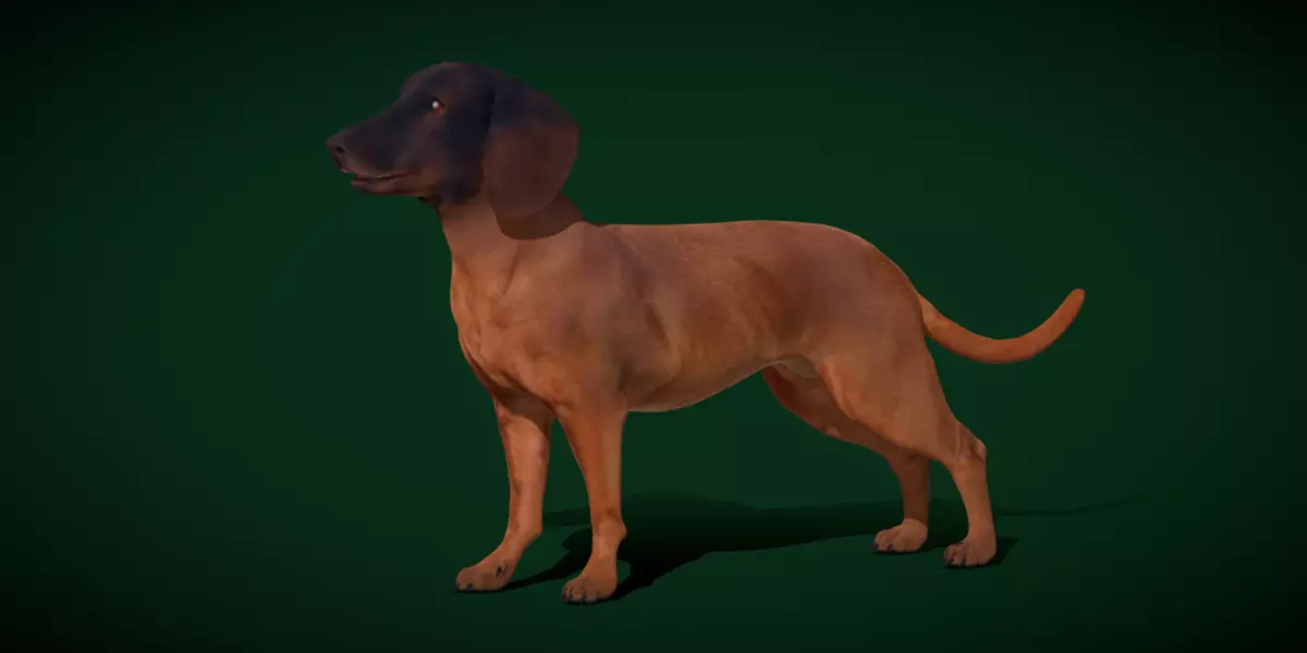 Bavarian Mountain Hound Dog Breed 3D model_0