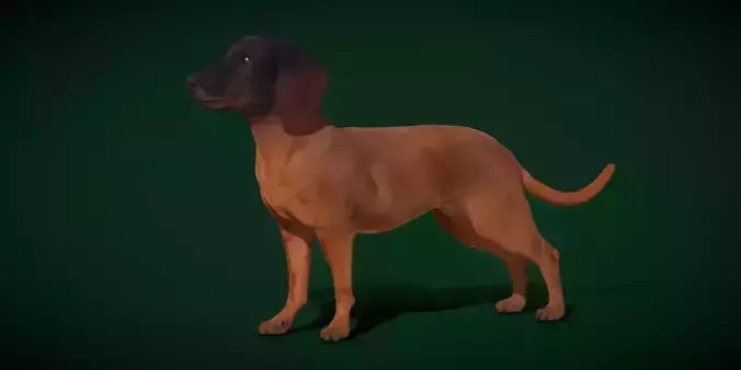 Bavarian Mountain Hound Dog Breed