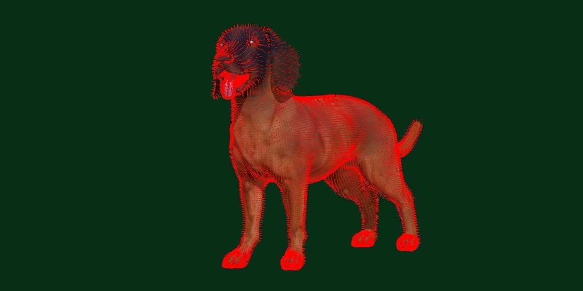 Bavarian Mountain Hound Dog Breed 3D model_5