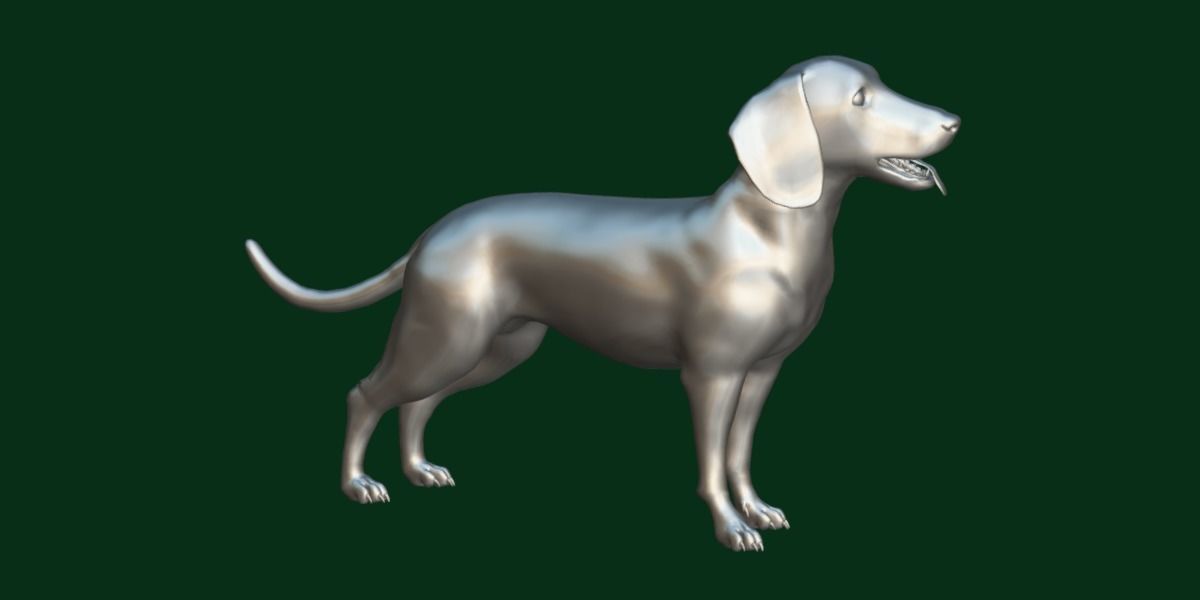 Bavarian Mountain Hound Dog Breed 3D model_16
