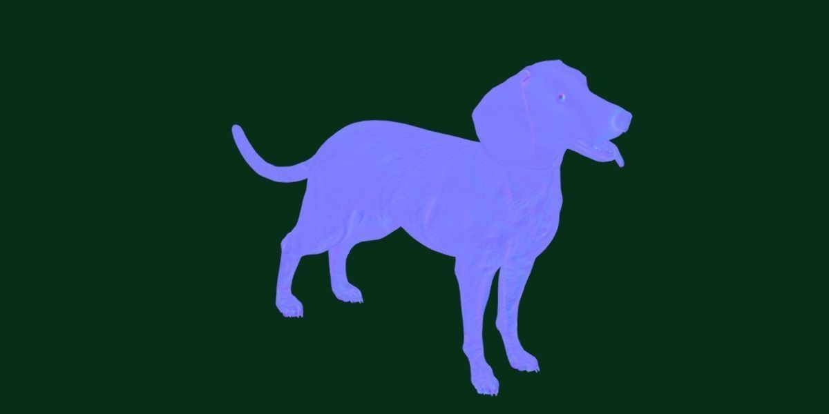 Bavarian Mountain Hound Dog Breed 3D model_13