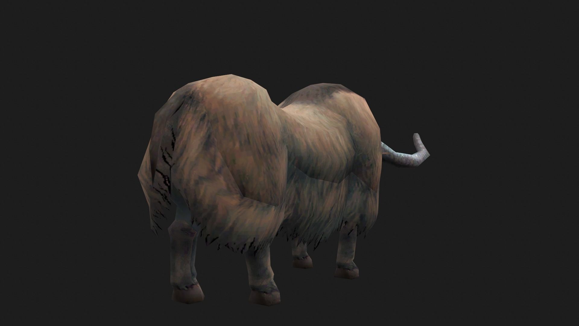 animated yak Low-poly 3D model_8