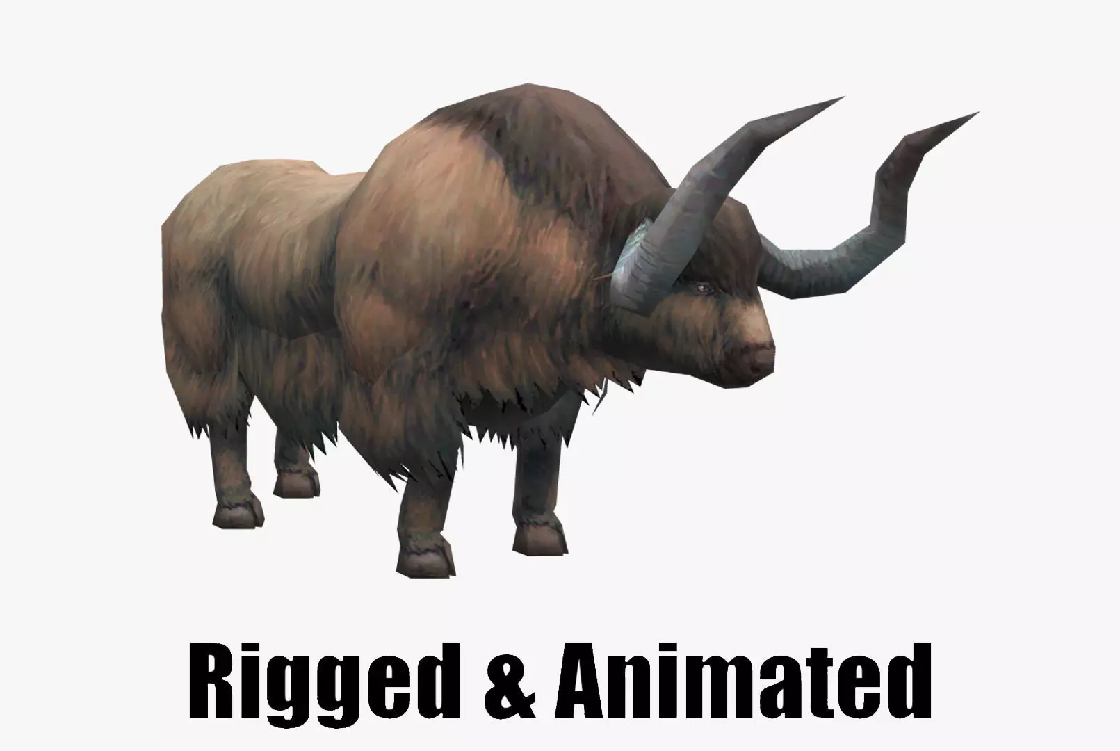 animated yak Low-poly 3D model_0