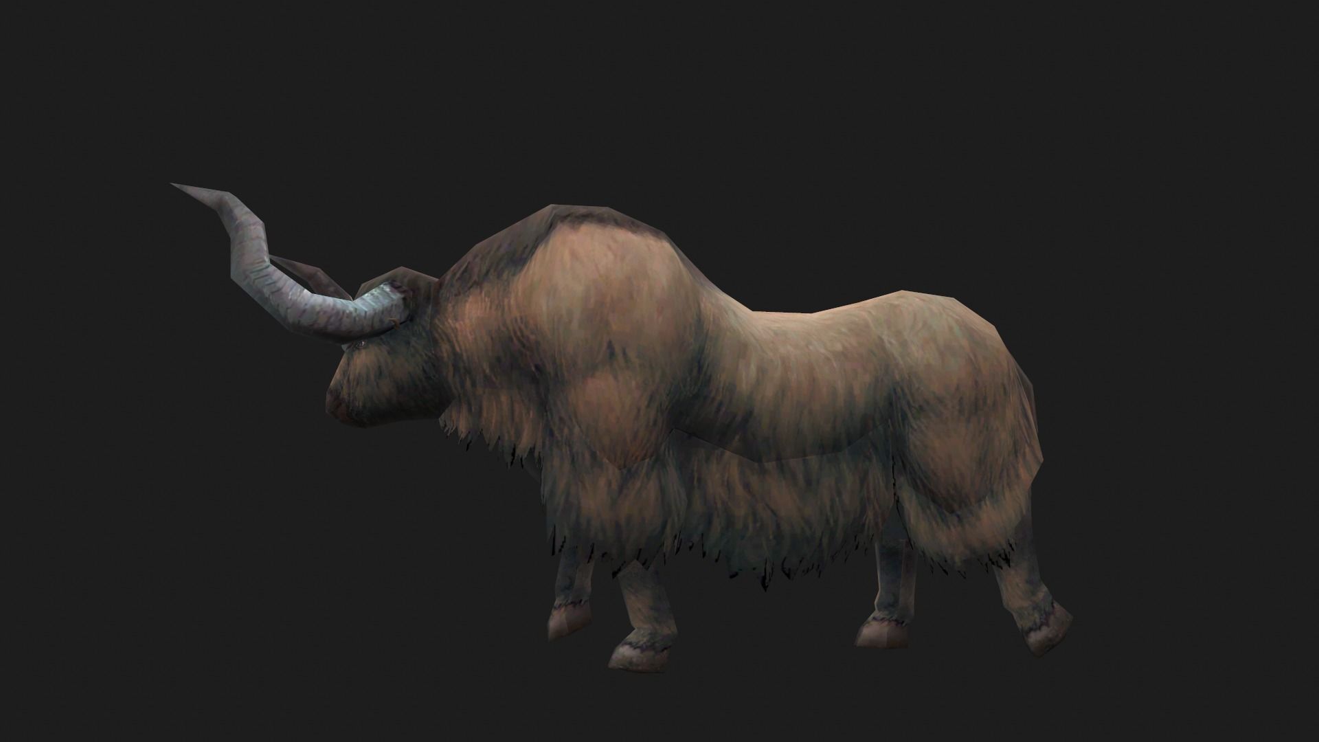 animated yak Low-poly 3D model_6
