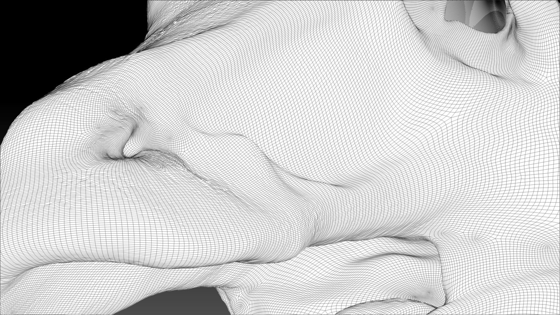 Dinosaur Gallimimus Sculpt Project 3D model_12