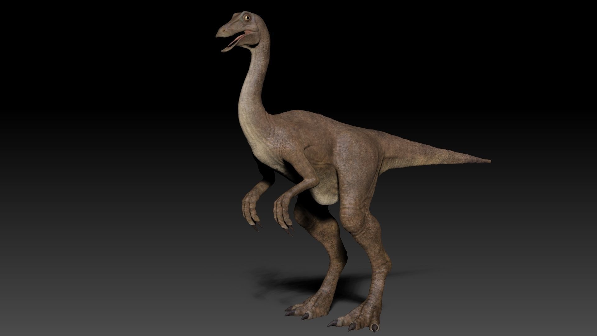 Dinosaur Gallimimus Sculpt Project 3D model_10