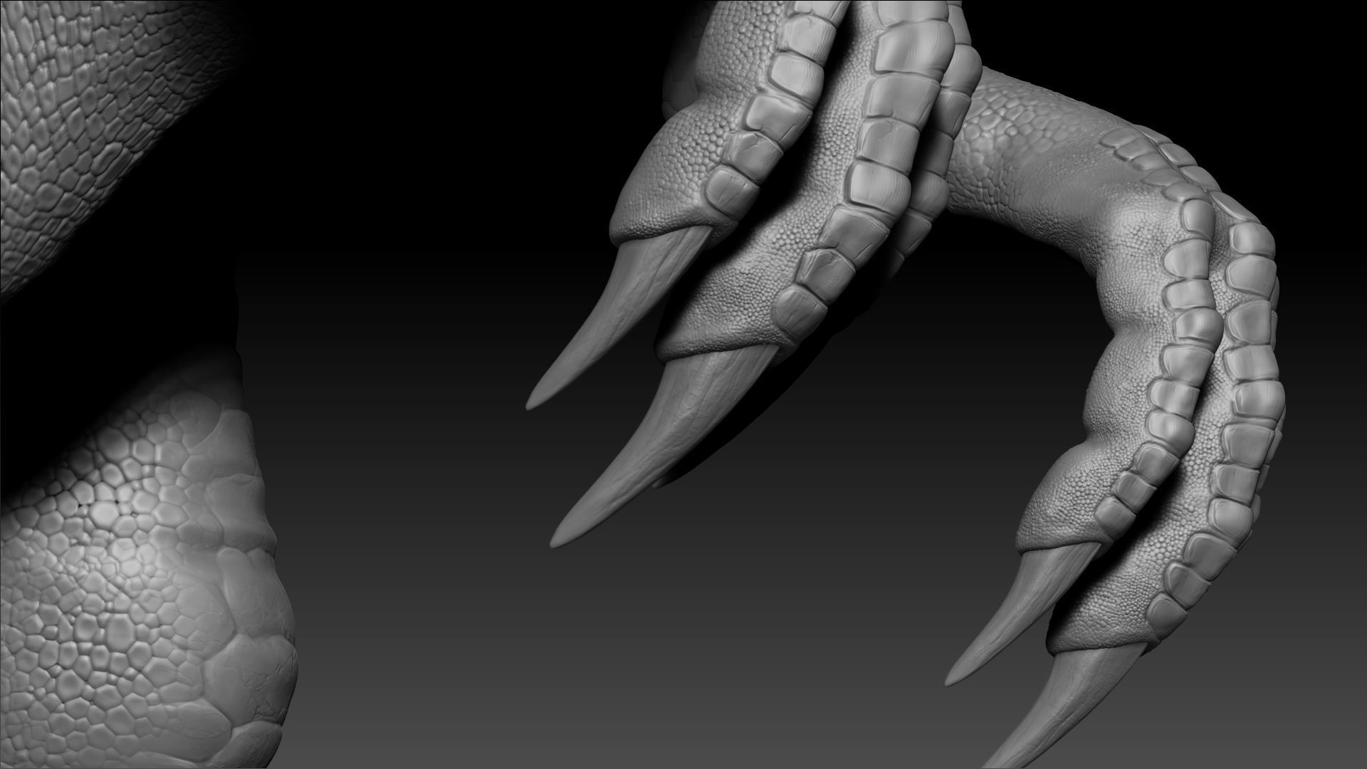 Dinosaur Gallimimus Sculpt Project 3D model_9