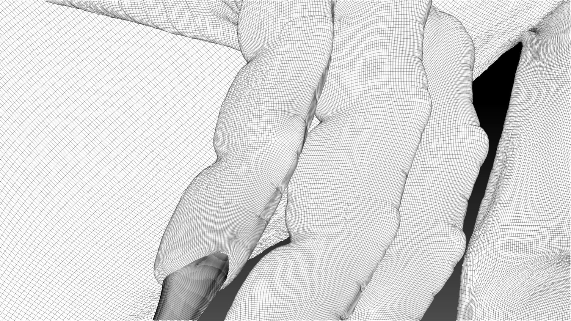 Dinosaur Gallimimus Sculpt Project 3D model_13