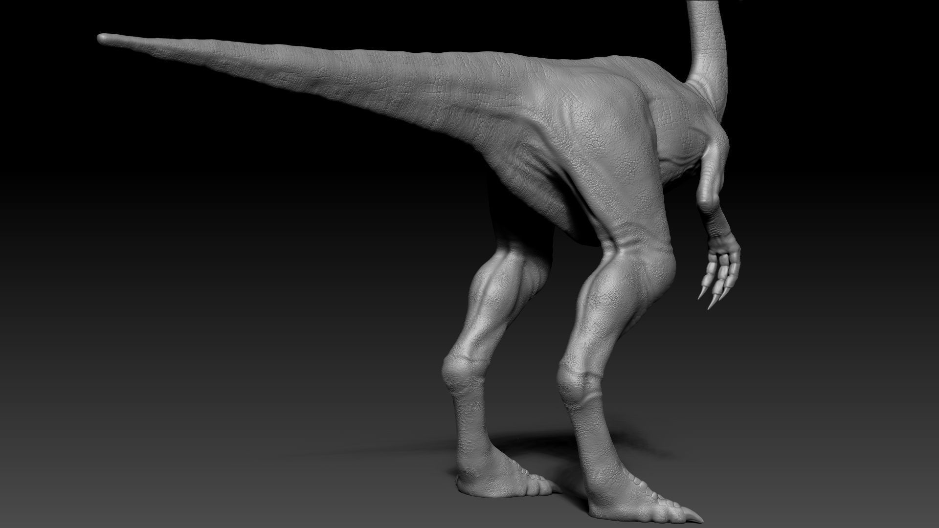 Dinosaur Gallimimus Sculpt Project 3D model_5