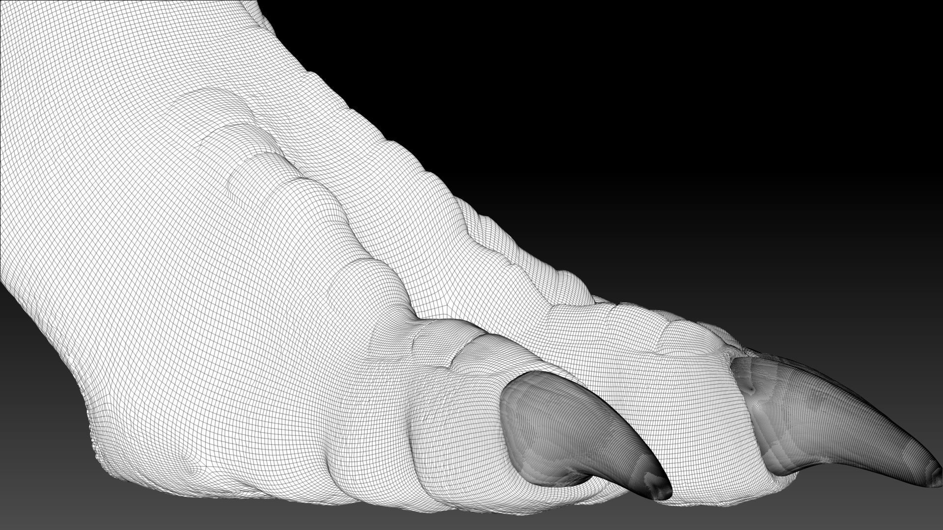 Dinosaur Gallimimus Sculpt Project 3D model_14