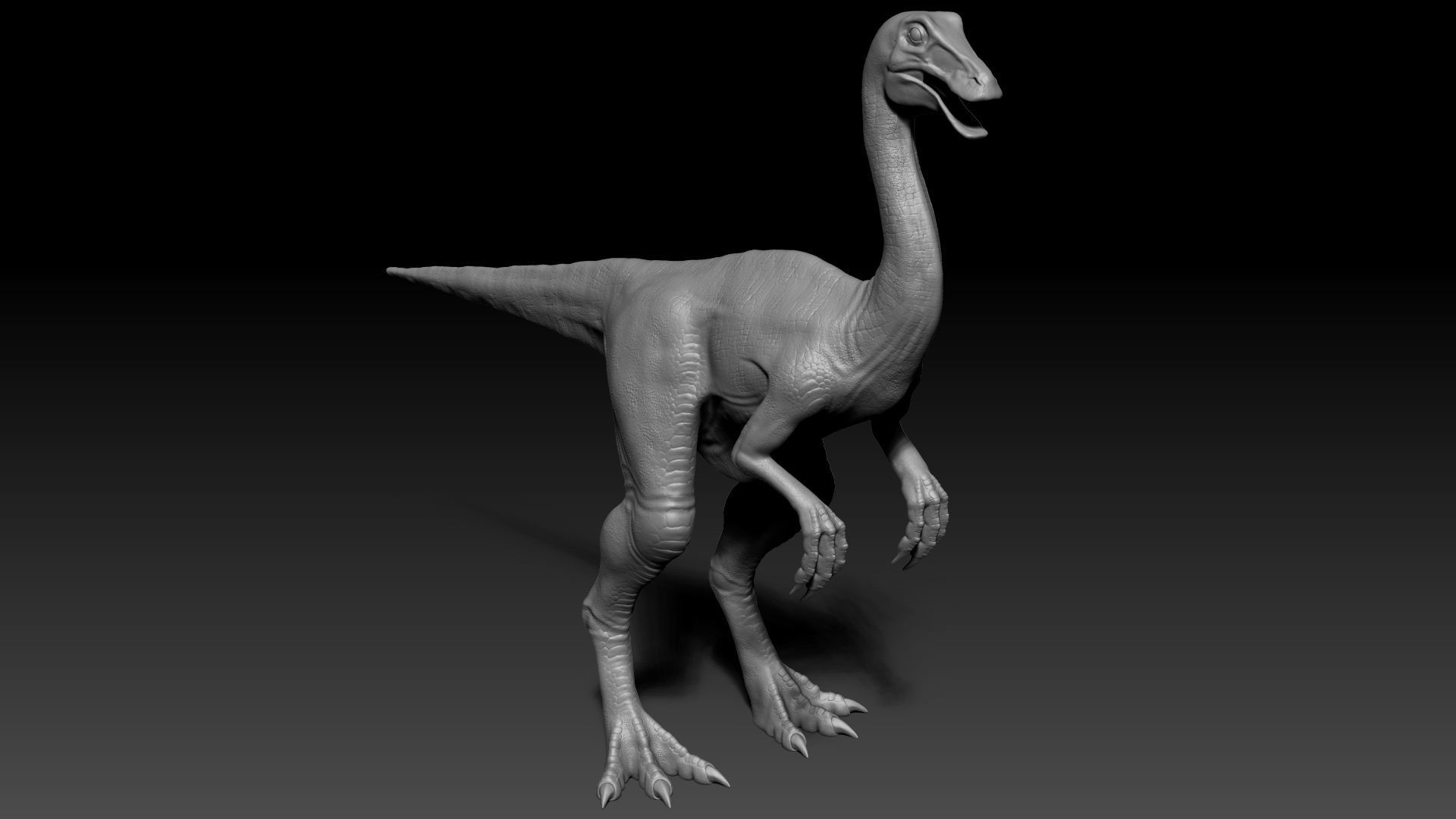 Dinosaur Gallimimus Sculpt Project 3D model_8