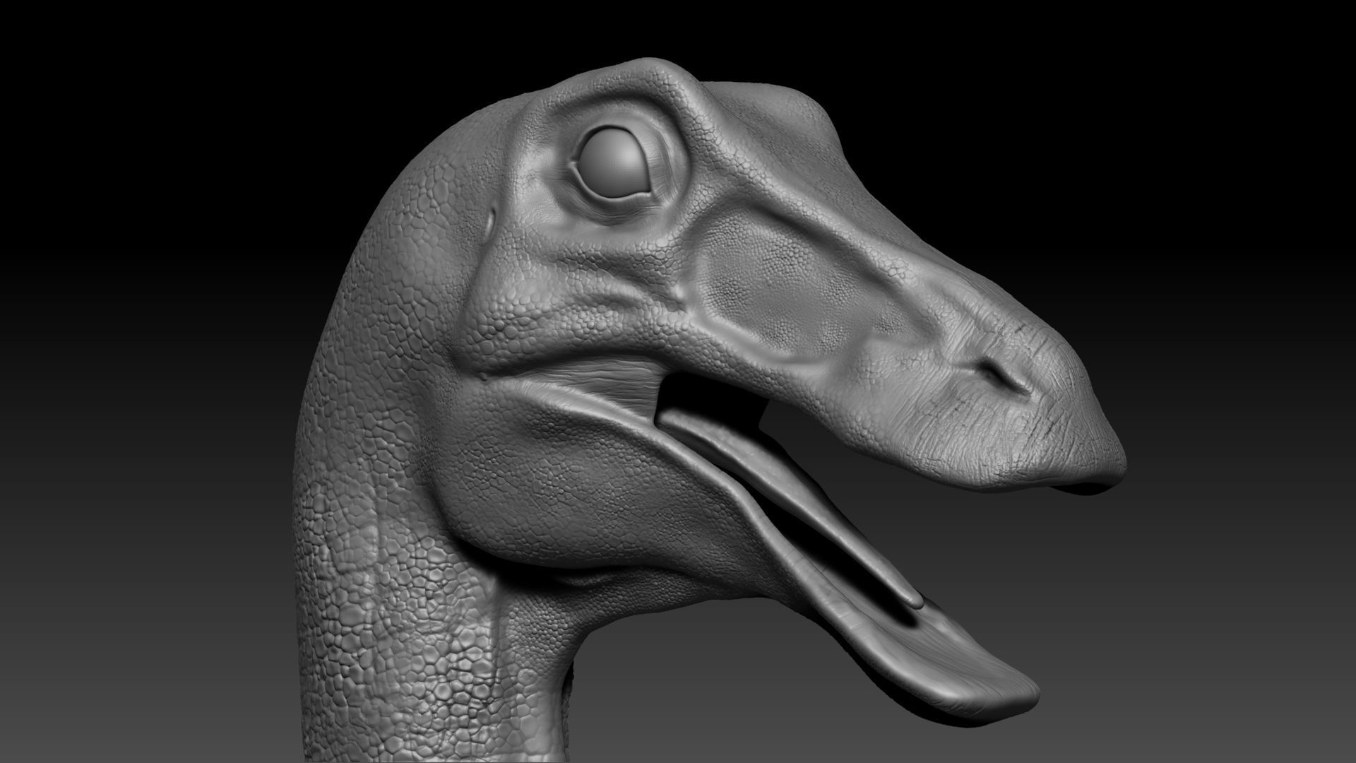 Dinosaur Gallimimus Sculpt Project 3D model_7