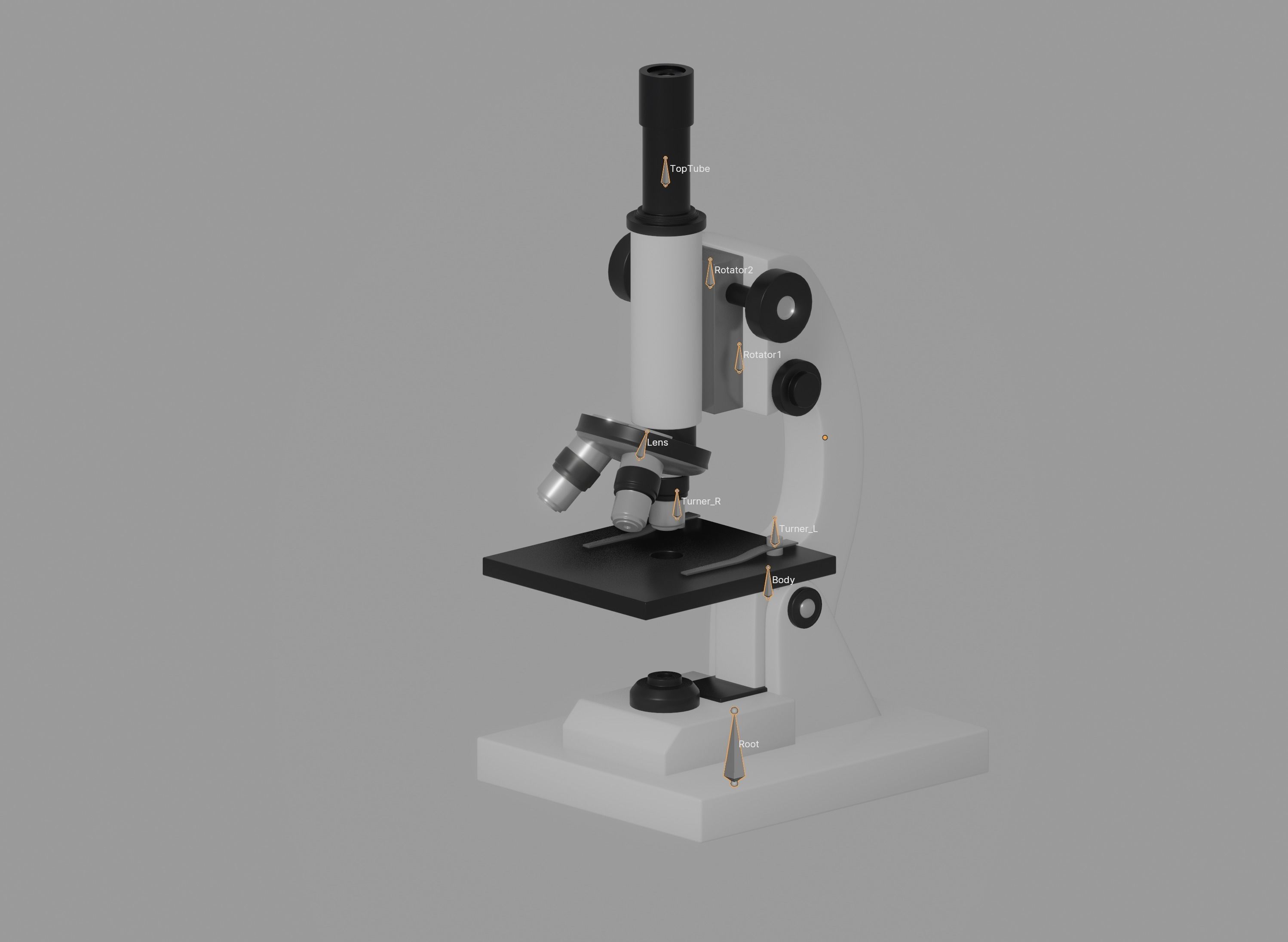 Microscope 3D model_19