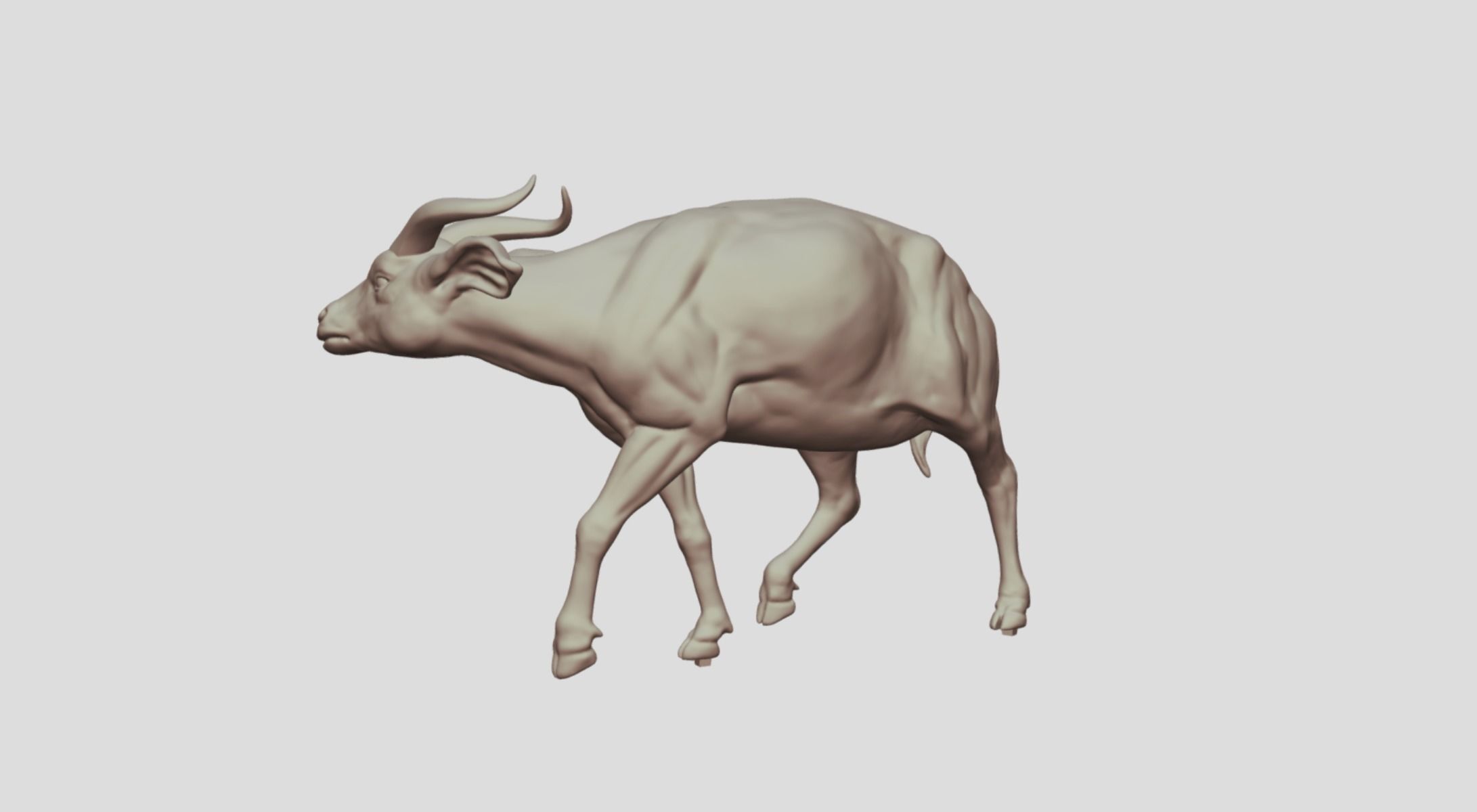 Realistic Bongo Antelope 3D print model_7