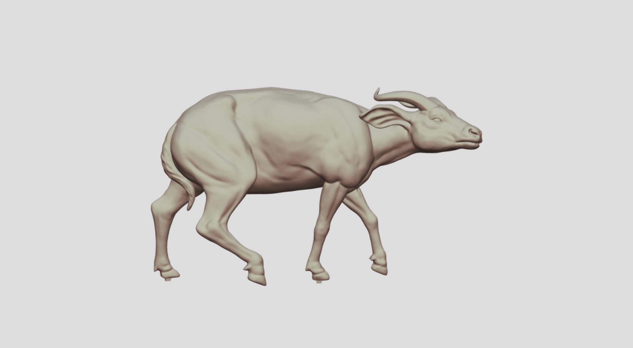 Realistic Bongo Antelope 3D print model_5