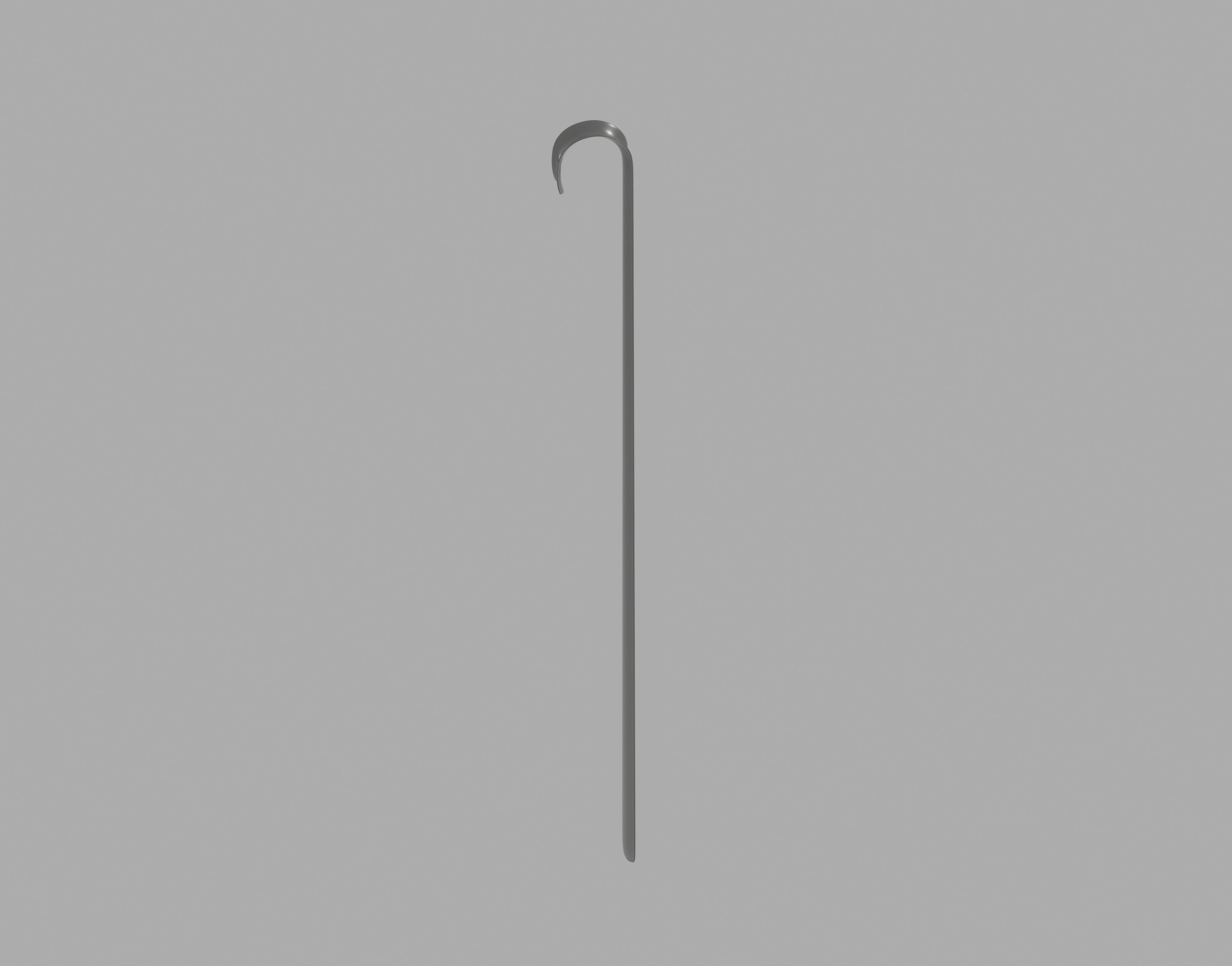 Shoehorn 3D model_9