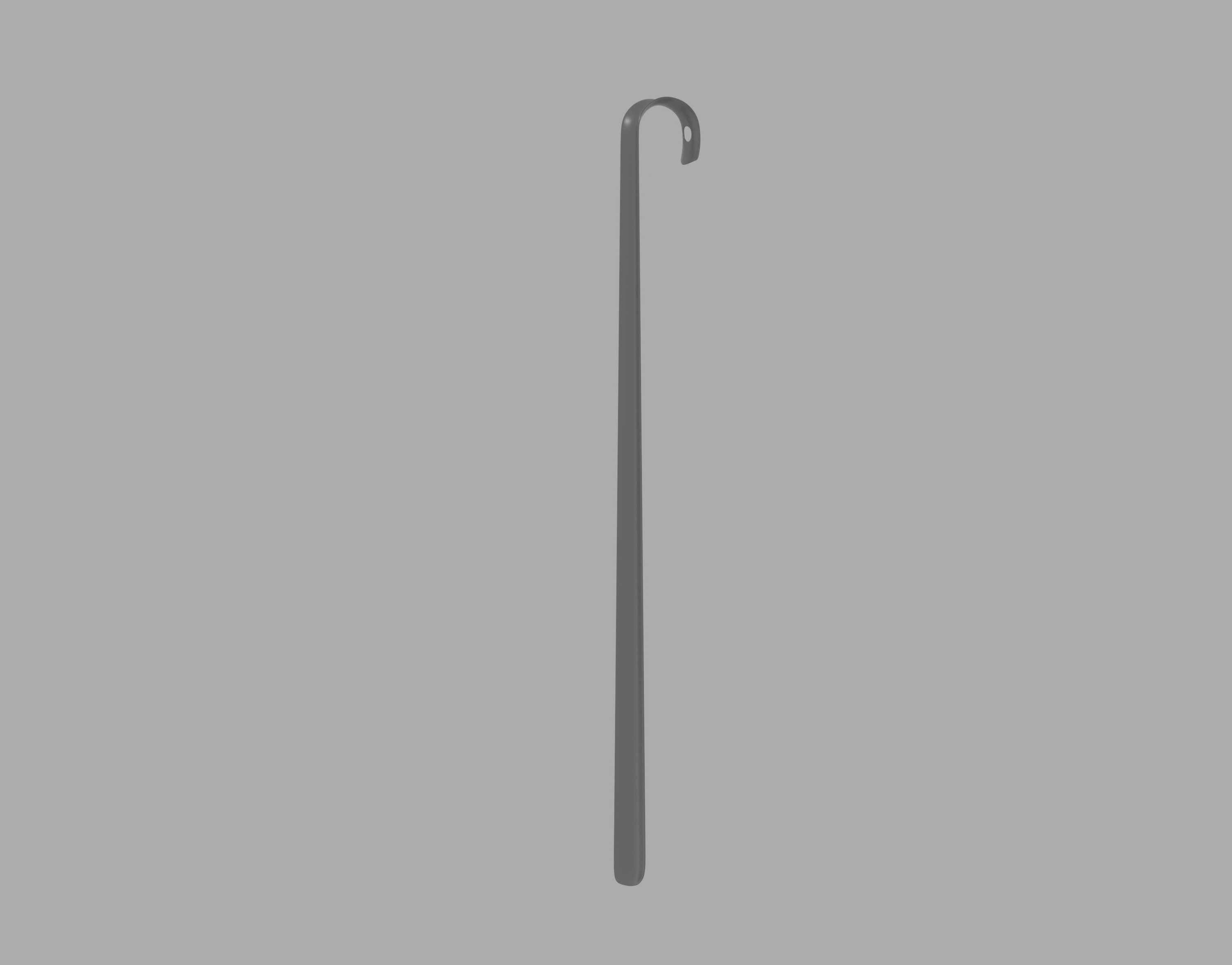 Shoehorn 3D model_2