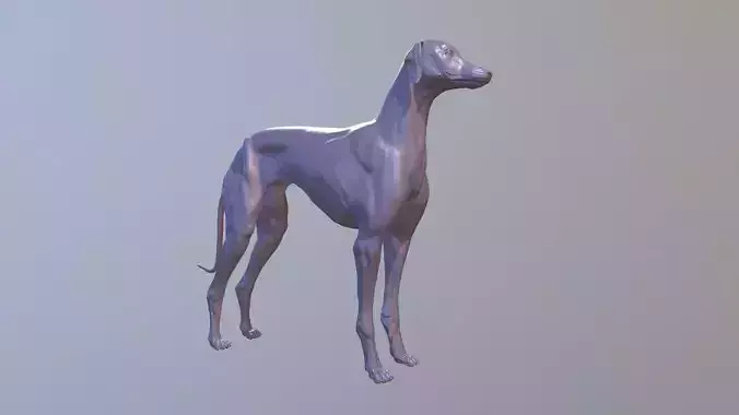 Greyhound Dog Realistic