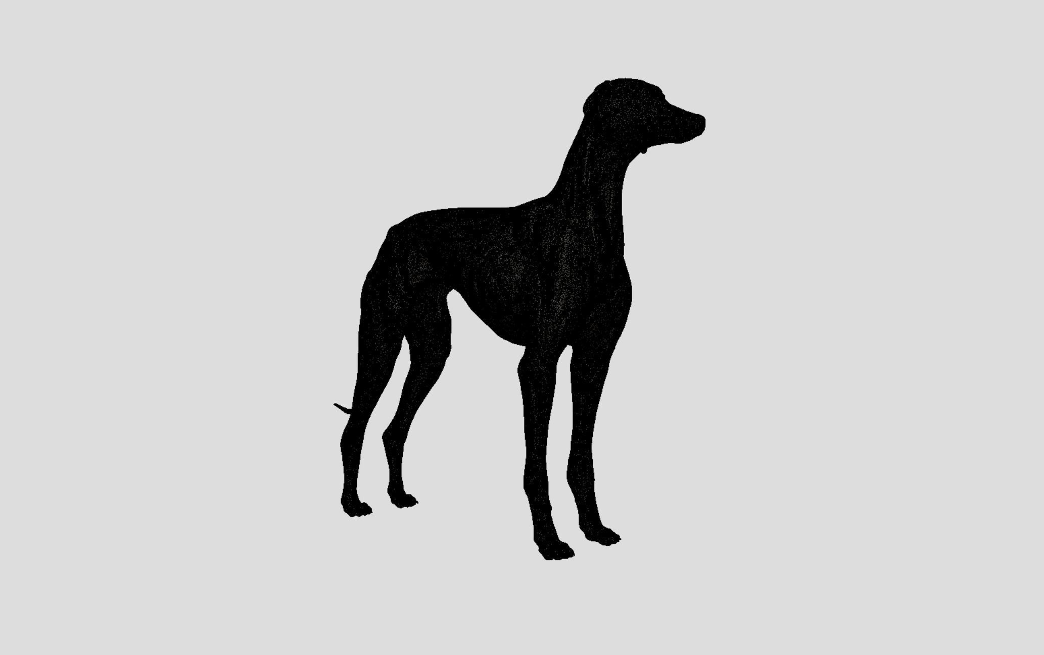 Greyhound Dog Realistic Free 3D model_8