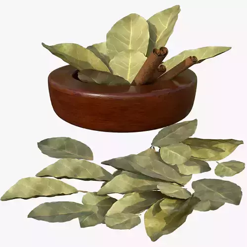 Bay Leaf Low-poly 3D model