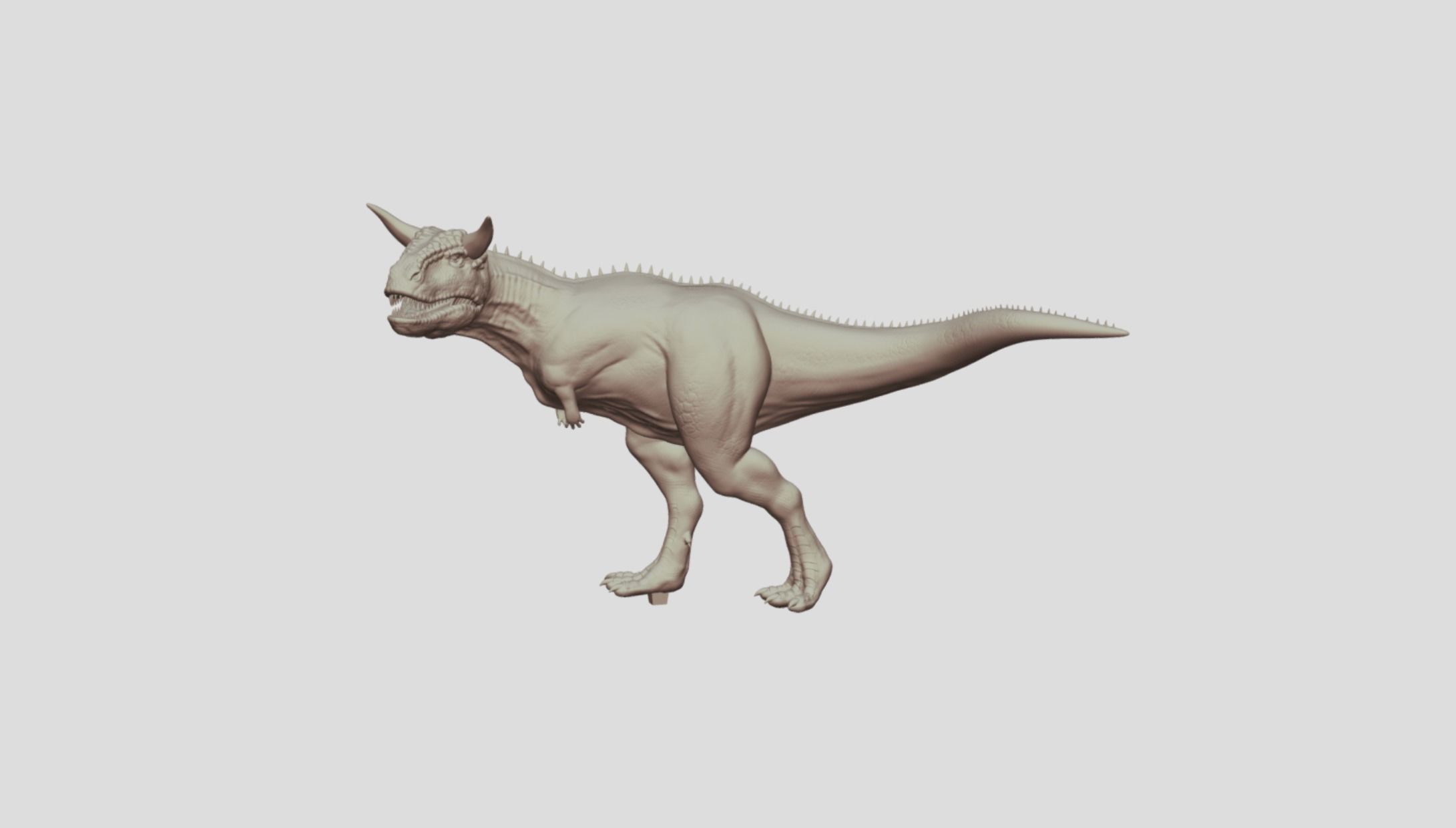 Carnotaurus Dinosaur basemesh 3D print model_10