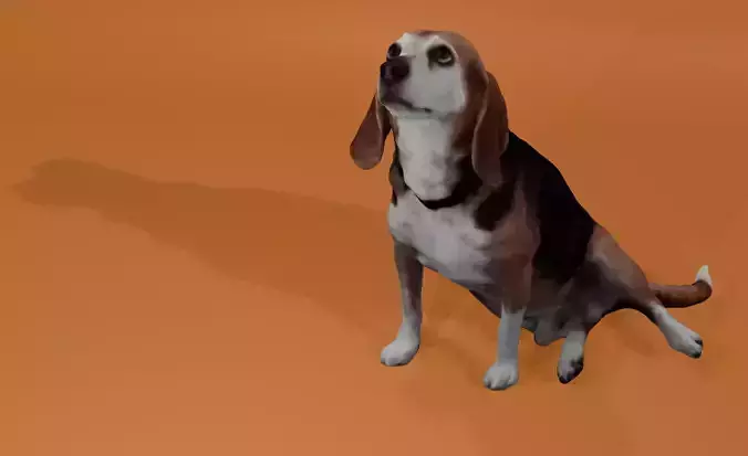 Beagle-3 dog sitting - model 1 Low-poly 3d scan animal