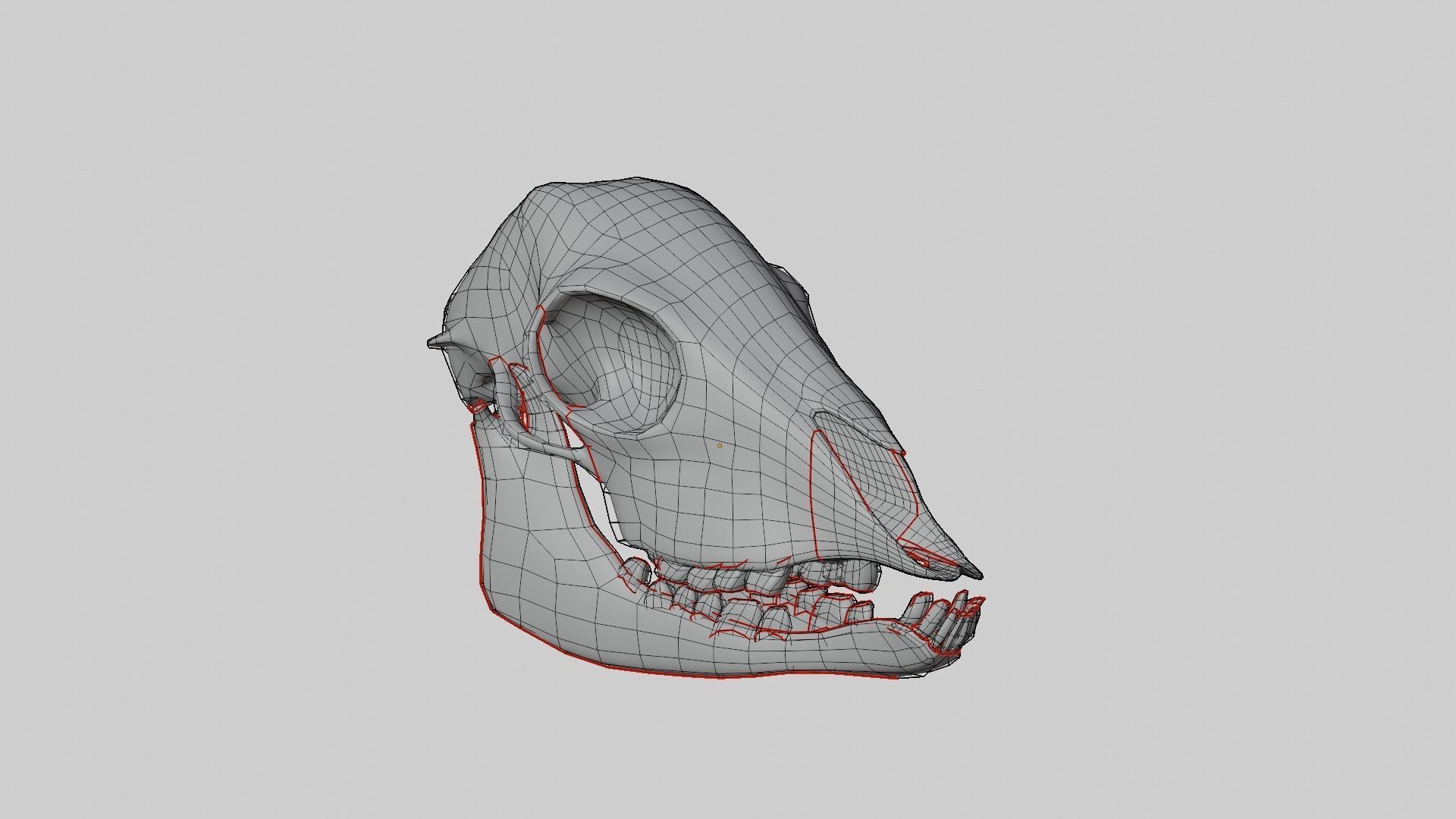 Lamb Skull Low-poly 3D model_9